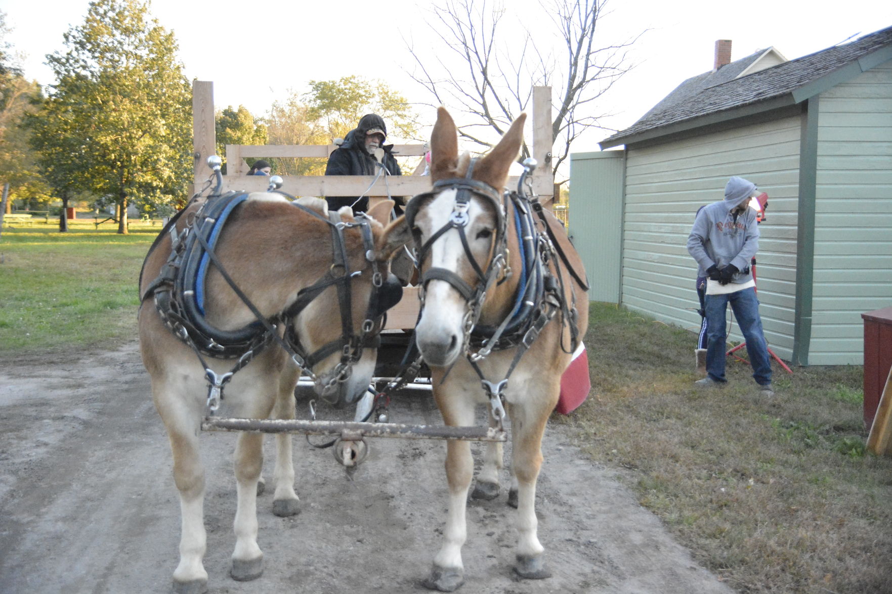 10-11-19 Stuhr All Hollows Eve (77).JPG